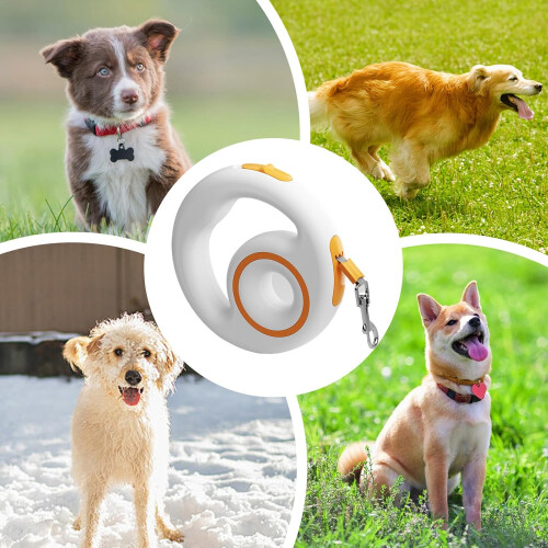 Flexible Retractable Leash for Pets  Durable SlipResistant Training Leash for Night Walks 2