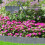 Gartenumrandung, Gartenlandschaftsumrandung,-grau 7