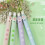 4 pcs/box – 0.5 mm Cartoon Succulent Pattern, Button, Neutral Pen, CS Tip, QuickDrying, Neutral Pen, 4 pcs/box 2