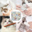 Cat Grooming Tools, Cat Ear Cleaning Film, Cat Teeth 4