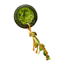 Kleine gekko's Klimgrot Magnetische schuilplaatsen Realistische