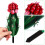 3Ud Adornos Acrílicos Verde De Cactus Para Decorar 5