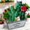 3Ud Adornos Acrílicos Verde De Cactus Para Decorar 11