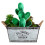 3Ud Adornos Acrílicos Verde De Cactus Para Decorar 7