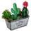 3Ud Adornos Acrílicos Verde De Cactus Para Decorar 9