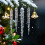 Unbreakable Acrylic Ice Picks 17cm Bulk Pack for Seasonal 5