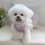 Corduroy Pet Outfit Including Leashes Clip Multiple Size For-M 5