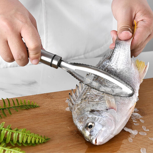 Fish Scale Scraper, Multifunctional Stainless Steel Ruler, Pinonometric 2