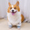 Cartoon Print Two Legged Canine Elbow Guard Dust-Orange 5