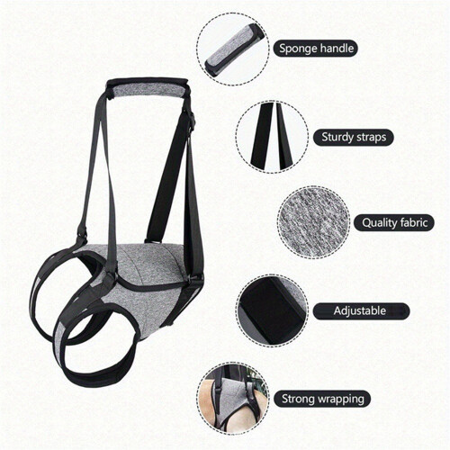 Adjustable Dog Rear Leg Stabilizers Pet Lifting-XL 1