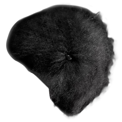 Postiche de pratique de toilettage pour animaux de-cheveux noirs