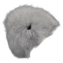 Pratique de toilettage pour animaux de compagnie,-cheveux gris