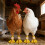 4 Pcs Poultry Leg Injury Splints Highlighting Modifiable-h 2