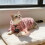 Protective Thick Plush Pet Sweater Leopards Print for Warmth-M. 4