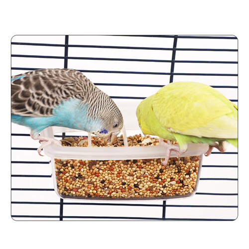 Mangeoires montées sur Cage à oiseaux, récipient alimentaire-1 1