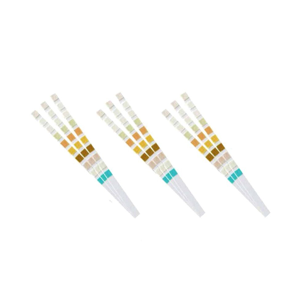 400 Strips Urine Test Strip 10 Parameters