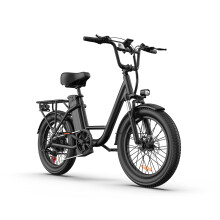 URLIFE E20 48V13AH Step-thru City 50mi EBike,black