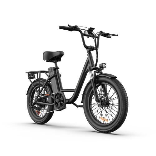 URLIFE E20 48V13AH Step-thru City 50mi EBike,black