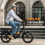 URLIFE E20 48V13AH Step-thru City 50mi EBike,black 12