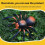 Realistic Spider  Remote Controlled Spider Toy, Halloween Prank Toy 4