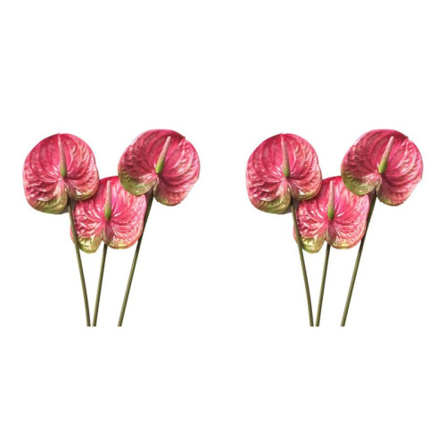 6 Pcs 22,8 Polegadas Artificiais Flores de Antúrio para DecoraçãO de Casa Buquê e Folha Verde e DecoraçãO de Casamento Nupcial (Rosa)