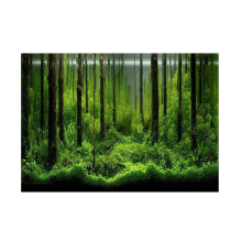 Forest Tank Aquarium Poster, PVC Adhesive Underwater Forest Aquarium Background Poster Background Decoration Paper (122 x 46 cm) 122 * 46 cm