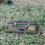 Weather Resistant Camp Storage Bag For Cooking Tools-Sand color 6
