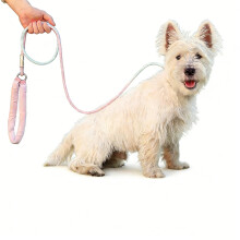 2-Pack Anti-Pull P-Chain Leash 150 cm 150 kg