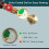 Durable Brass Propane Cylinder Inflator with Ball Valves QuickConnect Adapter 3