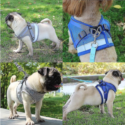 (Blue-XS)Cat Harness, Cat Harness Escape Proof 2