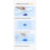 Lock-Water Pet Pee Pad 30×40 cm 100-Sheets 7