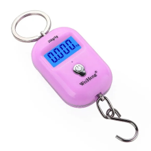 25kg 5g Mini Hanging Scale Weighting Hook Weight Tool