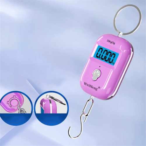25kg 5g Mini Hanging Scale Weighting Hook Weight Tool 2