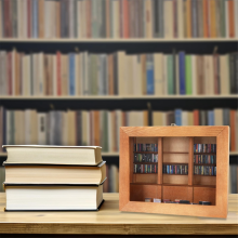 Allevia l'ansia 200 libri Biblioteca in miniatura B