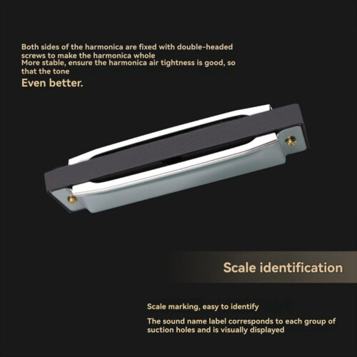 10-gaats mondharmonica in C-toonaard 1