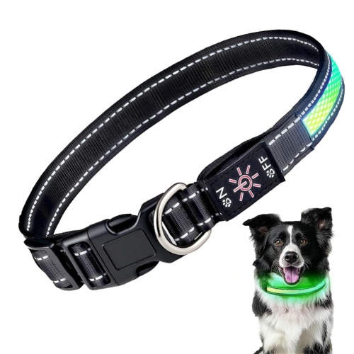 Collare per cani con luci LED, ricaricabile, impermeabile e sicuro. 1