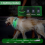 Collare per cani con luci LED, ricaricabile, impermeabile e sicuro. 3