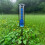 Rain Collector Durability Stand for Sustainable Garden Rainfall 7