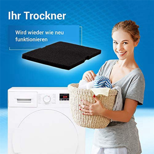 10 stuks drogerfilters ter vervanging van modelnummer 2964840100 2