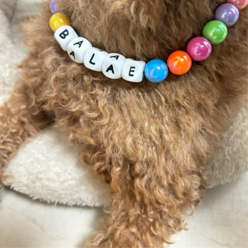 Collar de perro personalizado con cuentas, collar extraíble para perro 2