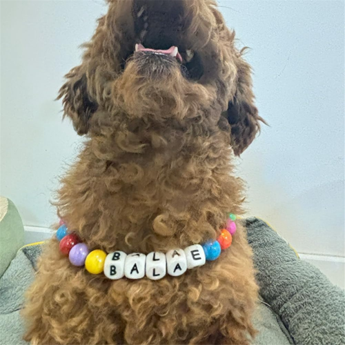 Collar de perro personalizado con cuentas, collar extraíble para perro 1