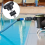 Kit di manopole SPX1600PN per pompe SuperPump e per piscine (3 pezzi) 3