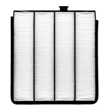 Kabinenluftfilter für Piloten (2001–2006, 1999–2004)