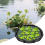 Πλωτή Λίμνη Corral Floating Island για Προστατευτικό Φυτών 80cm 2