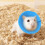 Extra Small Pet Rabbit Recovery Cone Lightweight Soft-blue XL 4