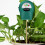Moisture Tester Multi-Level Display Plant Soil Fertility Tester 3