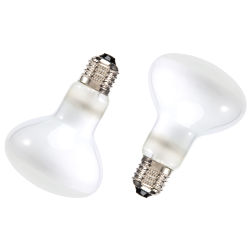 2-pack UVB värmelampa för reptiler (100 W) 1