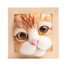 Schattige kattenhoofdpop breiset met fotolijstje en versieringen B