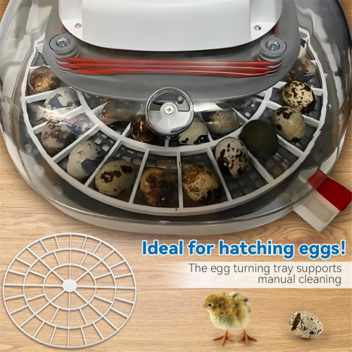 Δίσκος αυγών για επωαστήρα Nurture Right 360, αντικατάσταση δίσκου περιστρ 1