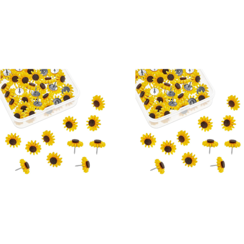 Solrosknappar Solrosknappar Blomkorktavlor (80 st)